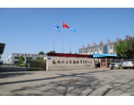 美麗的金鋒鋸業