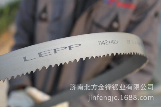 各種規格型號帶鋸條